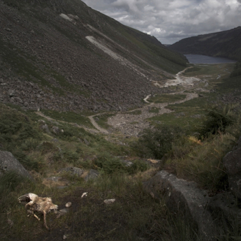 Le Glendalough depuis l'amont